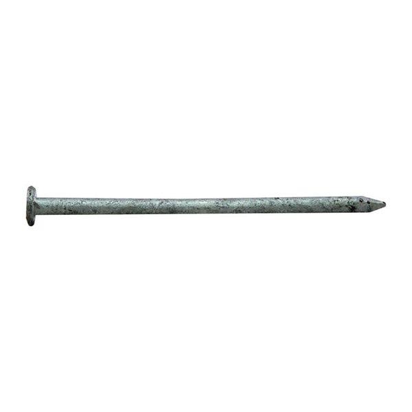 National Nail Common Nail, 2-1/2 in L, 8D, Hot Dipped Galvanized Finish 0054158